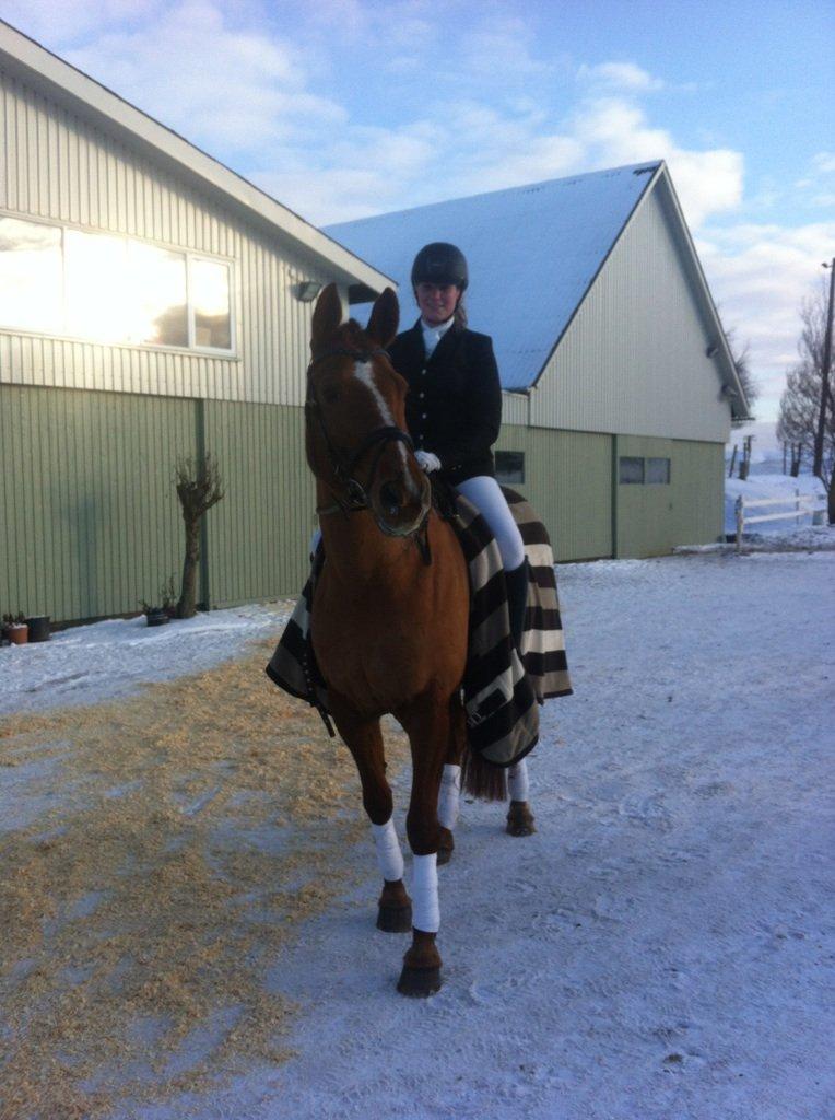 Dansk Varmblod Askemosens Marsia - 7.Første stævne sammen!:-D Vi red til 68,26% og vandt 3.pladsen. Kan ikke være andet end glad. billede 7