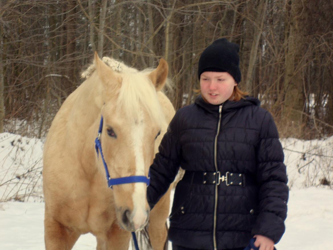 Palomino Anyska/ Nysse billede 15
