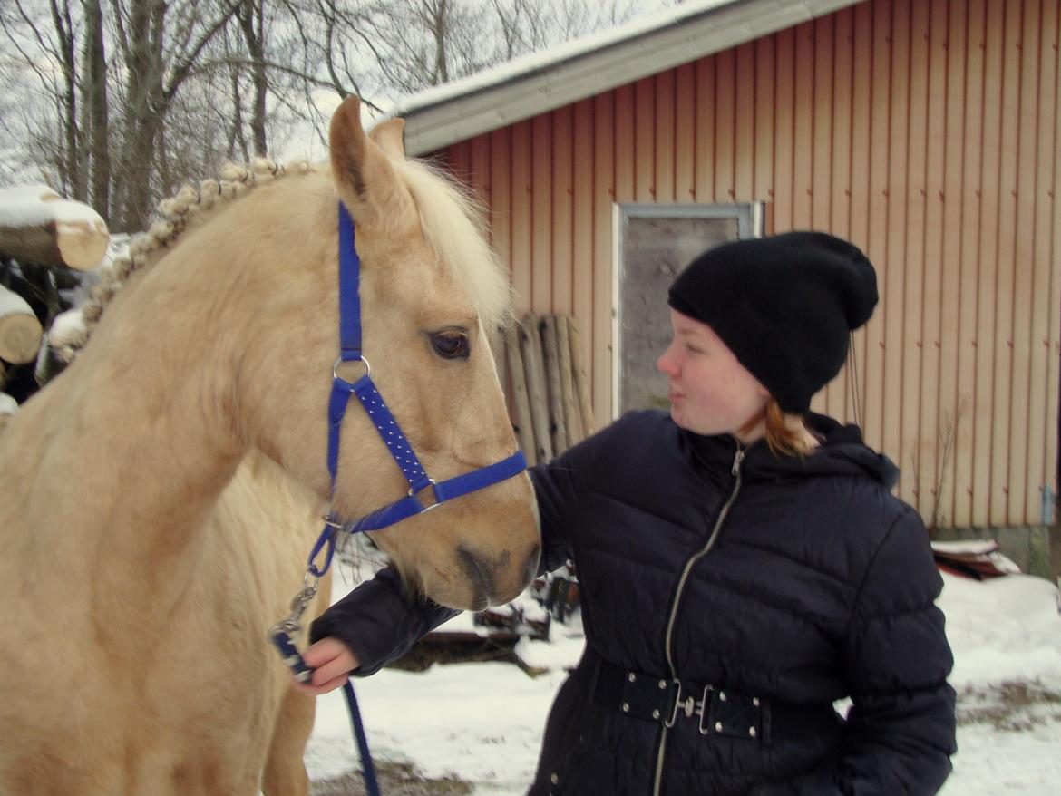 Palomino Anyska/ Nysse billede 16