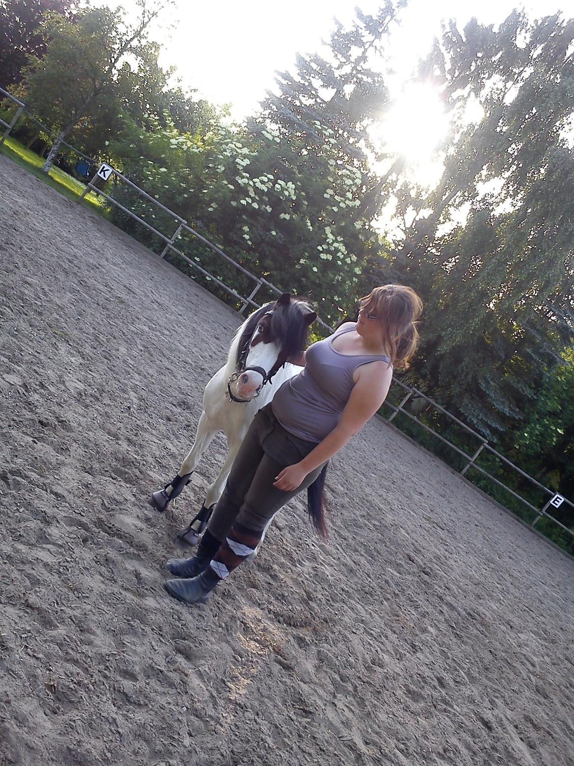 Anden særlig race Sussie billede 6