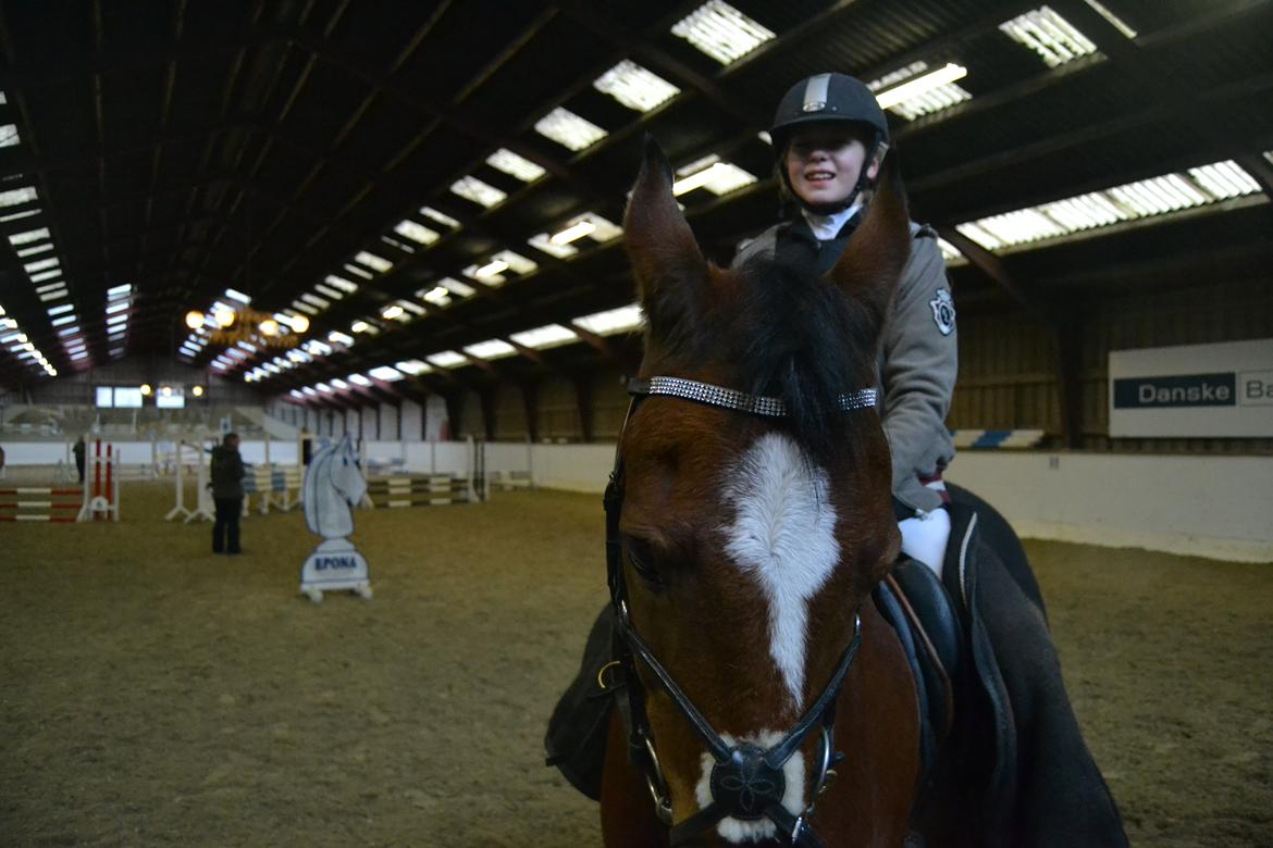 DSP Passion *palle* (skadet) billede 8