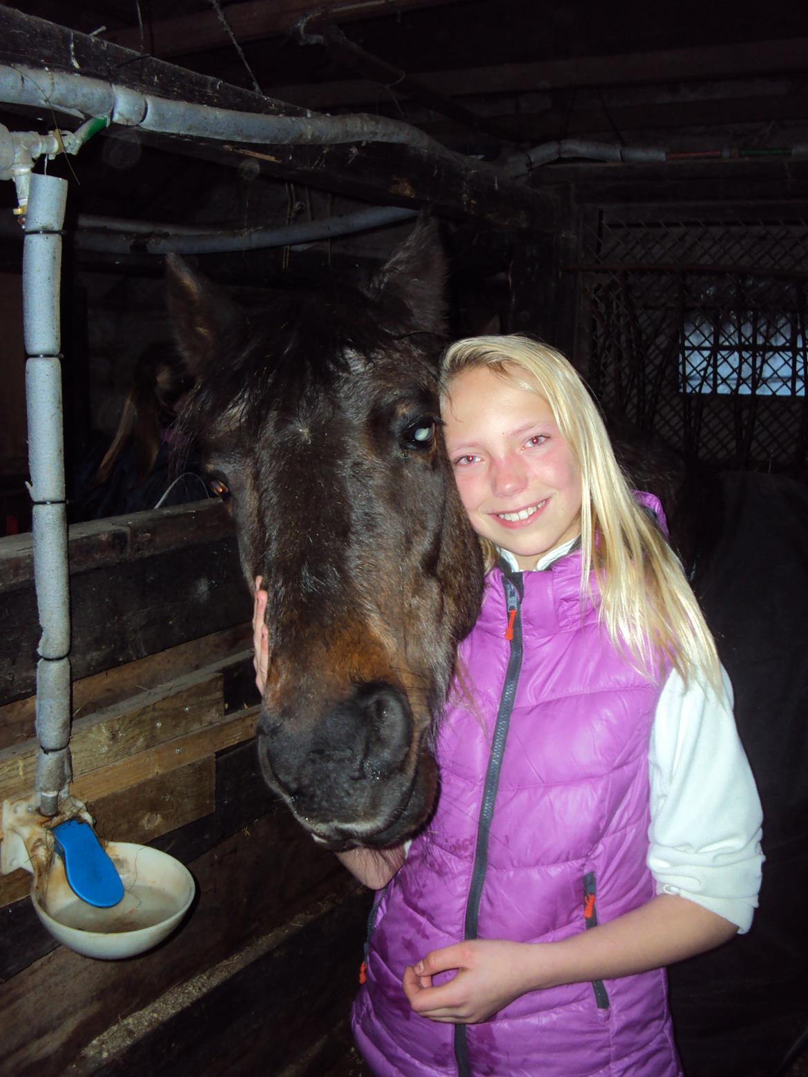 Mangalarga Marchador polly!!! <3 - Mussen Du vækker minder frem den sidste dag jeg havde med min Prinsesse_Pige!:''''( love on you<3   billede 1