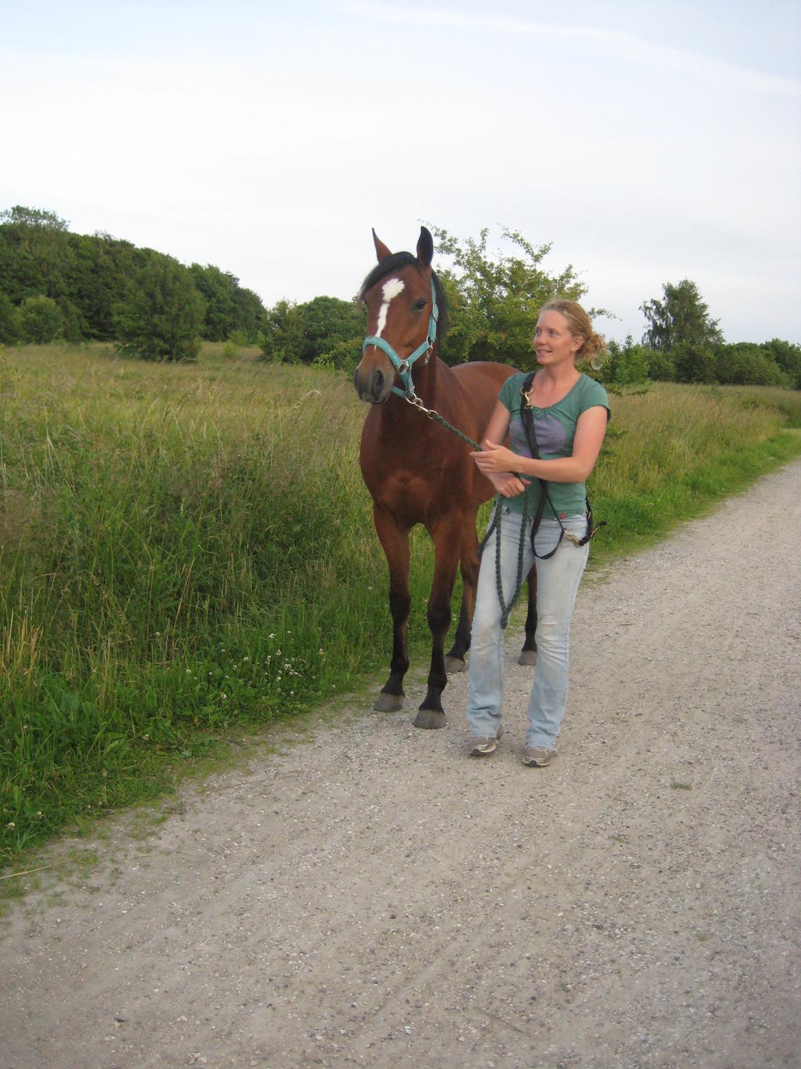 DSP Aqua L - Kørte en tur med Aqua i traileren, stoppede ved det gammel kaserneområde og gik en laaaaang tur. billede 3