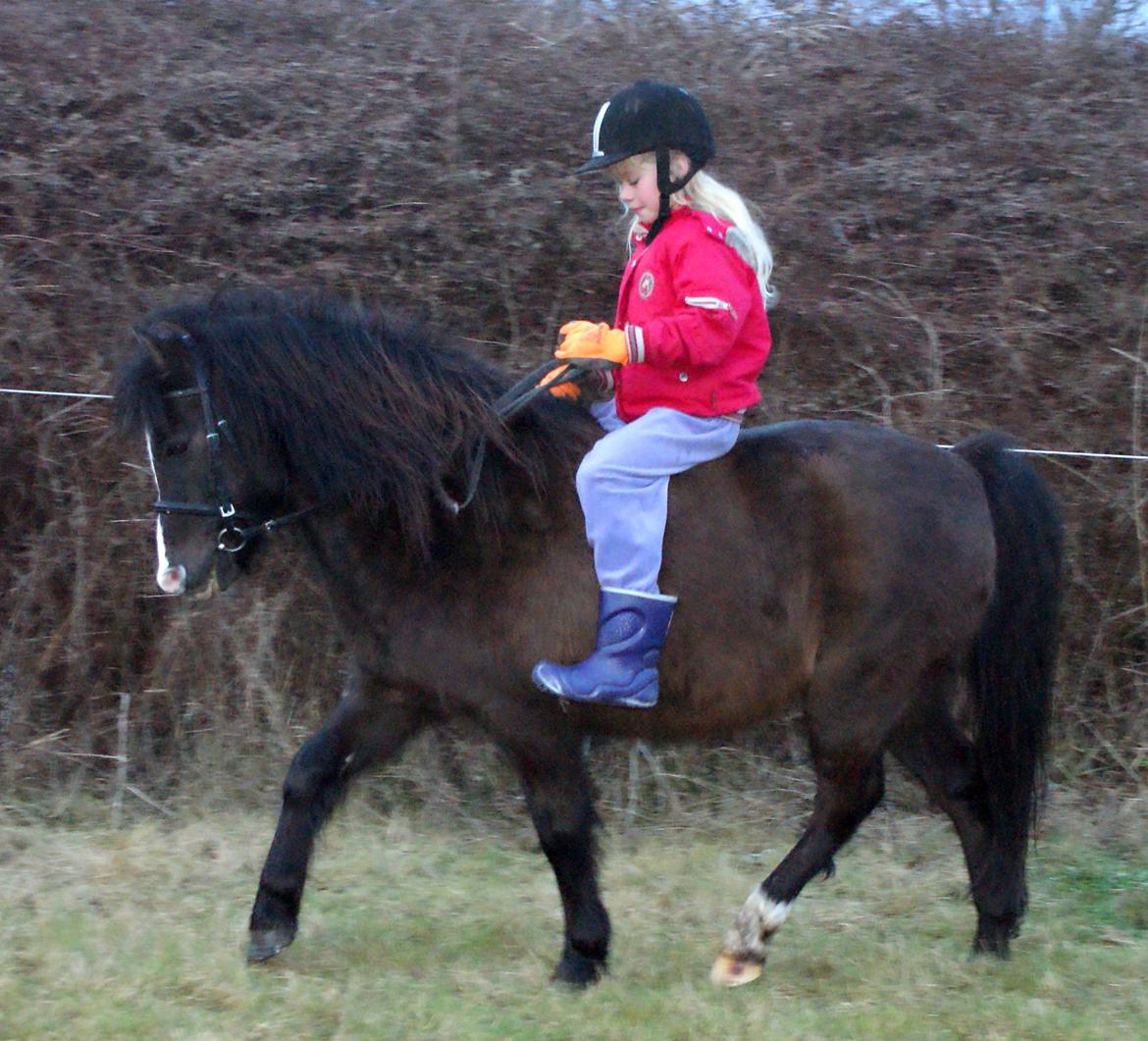 Anden særlig race Aslan - uden sadle, så dygtige de er blevet billede 11