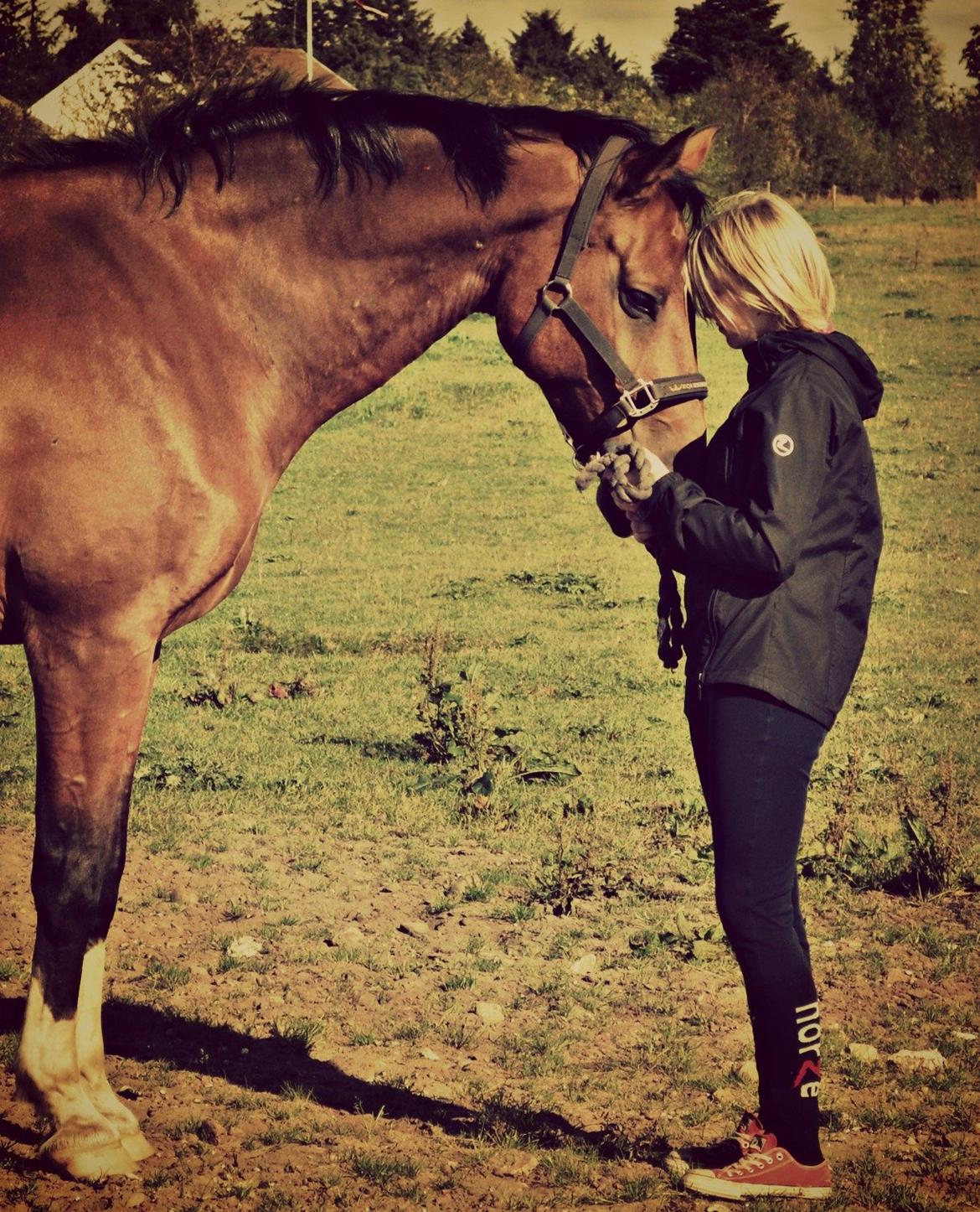 Holstener Calli Calli billede 2