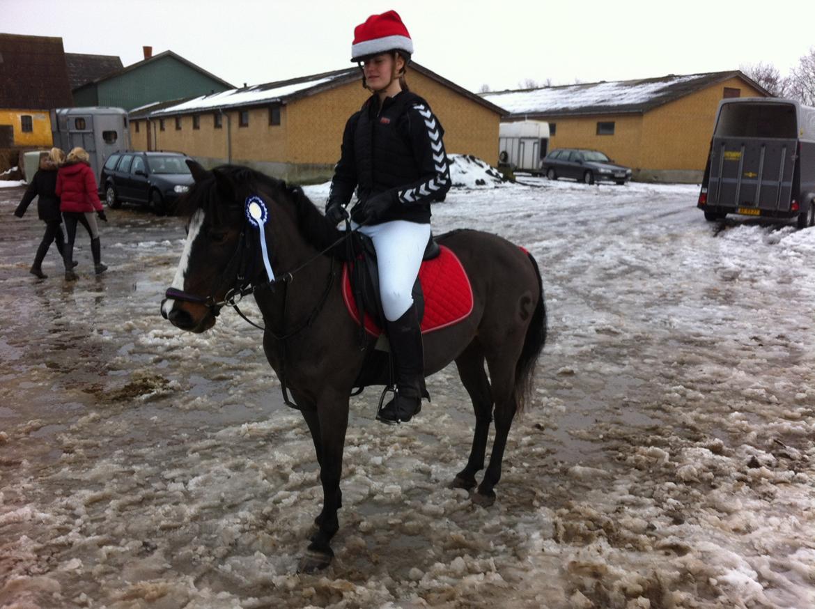 New Forest STELLA - 2 plads i 50 cm 1 sek fra at vinde :)
Lundby efterskole  billede 17