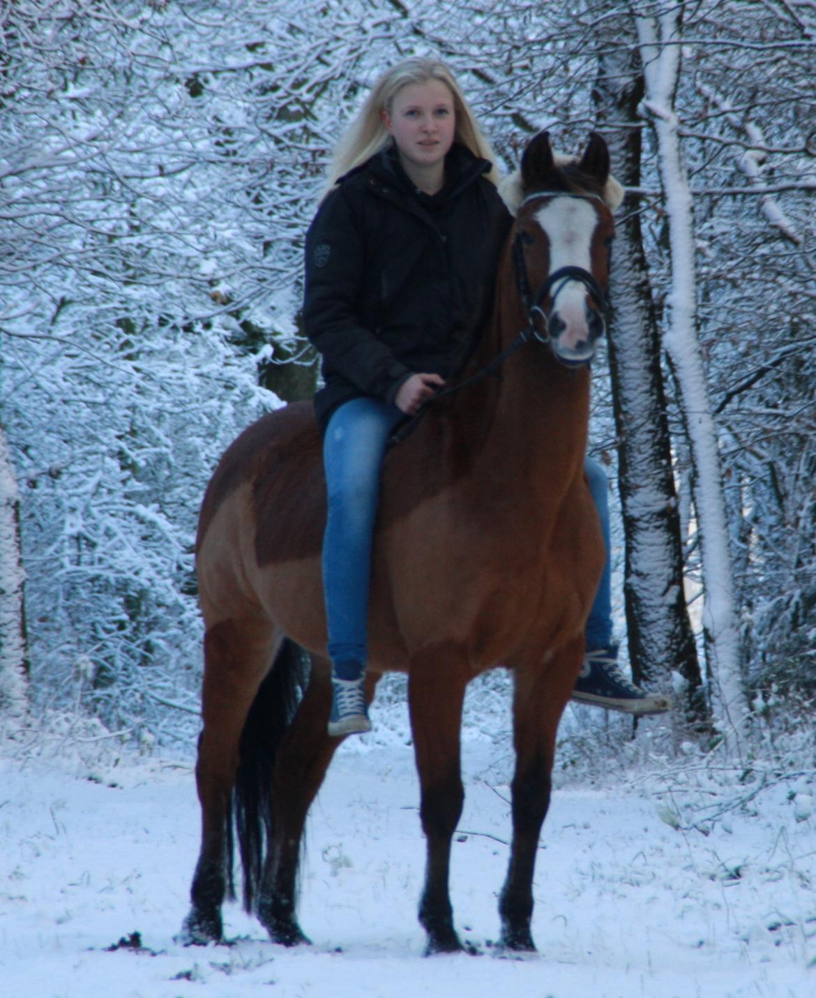 Anden særlig race Lady - på tur i skoven <3 billede 8