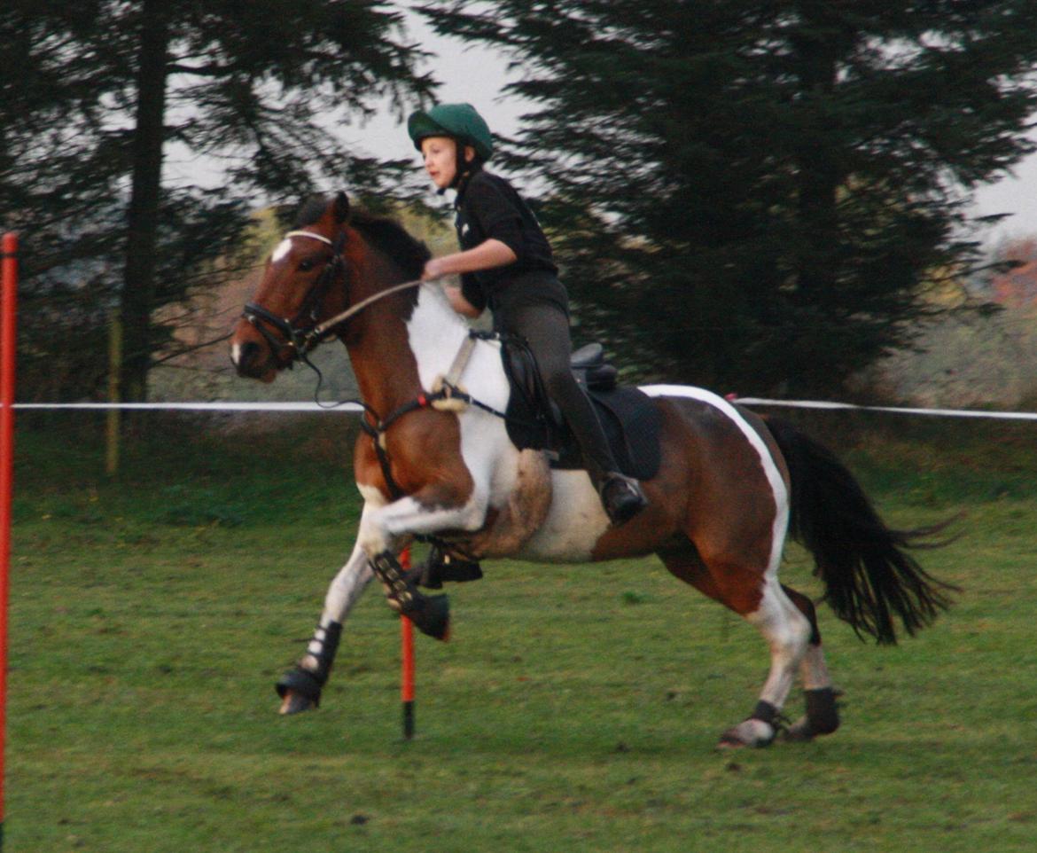 Anden særlig race Mille - Leo cup 2012 billede 6