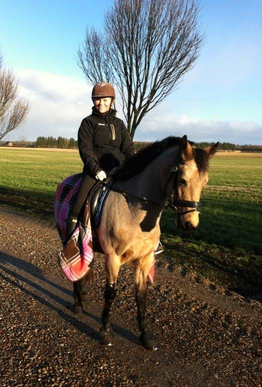 Anden særlig race Assenhøj's Bellezza - på min fødselsdag :) billede 19