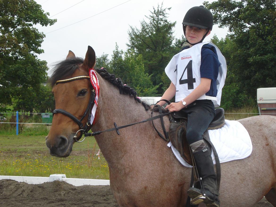 Anden særlig race Magic mix - Vandt en 1 plads billede 2