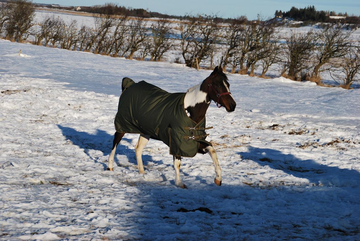 Paint Ems Painted Pearl billede 6