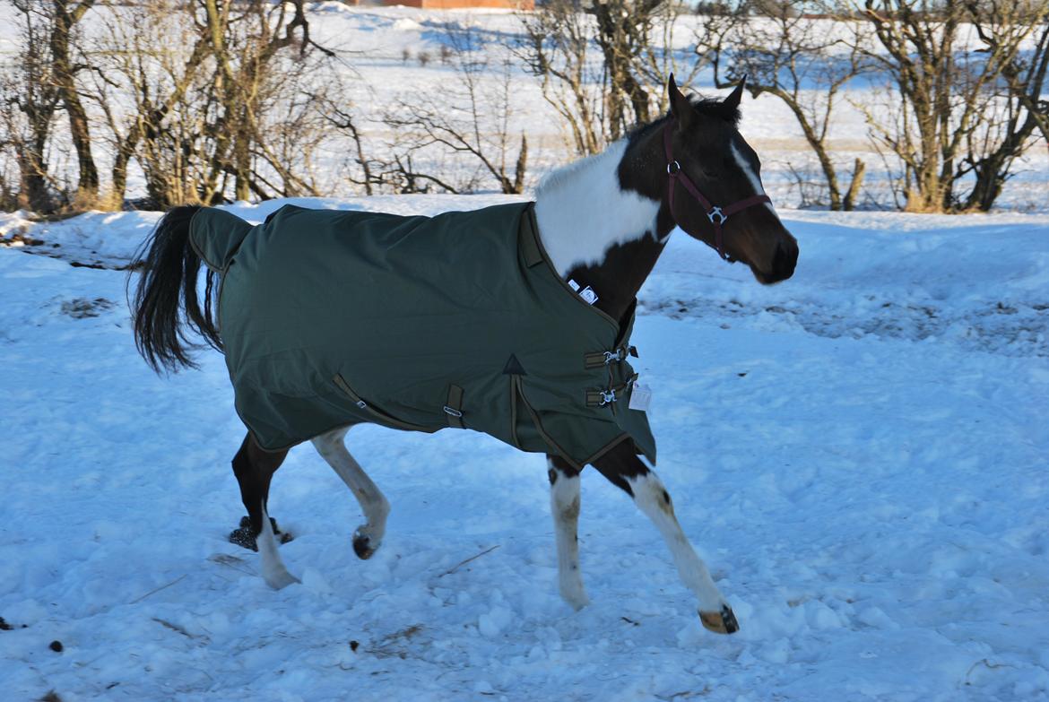 Paint Ems Painted Pearl billede 7