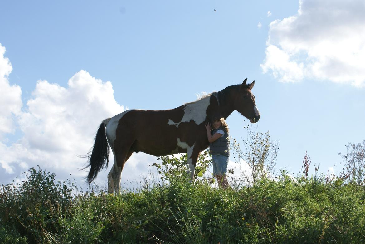 Pinto Check Me Out - Check Me Out billede 6