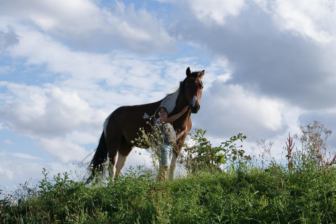 Pinto Check Me Out - Check Me Out billede 8