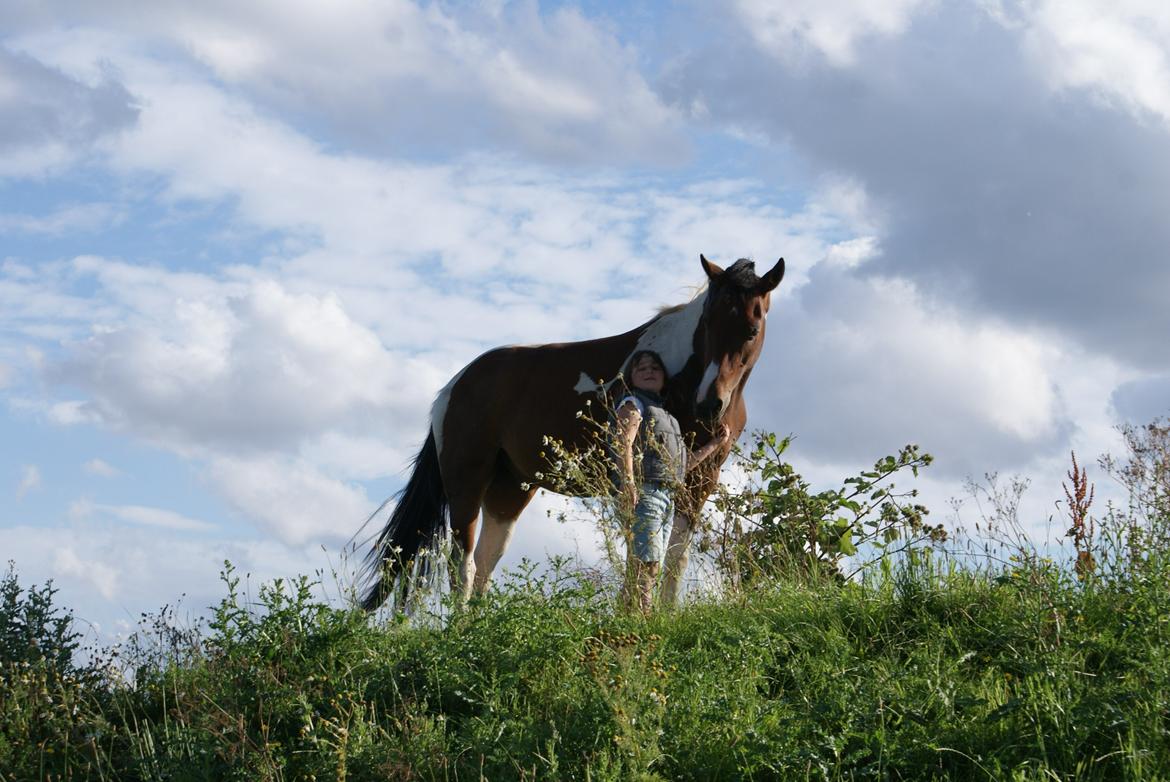 Pinto Check Me Out - Check Me Out billede 9