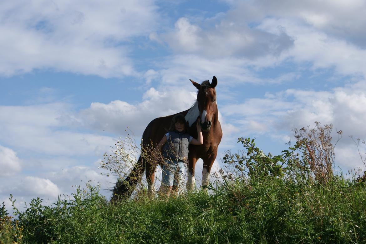 Pinto Check Me Out - Check Me Out billede 10