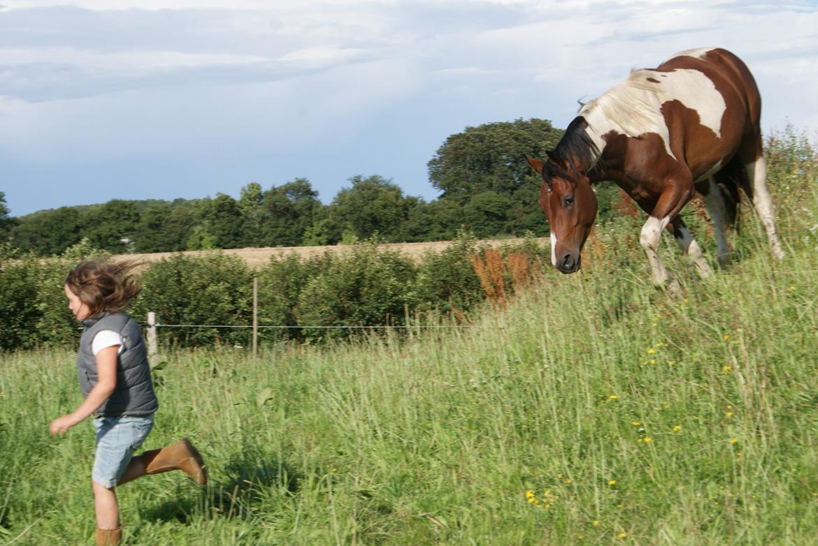 Pinto Check Me Out - Check Me Out billede 14