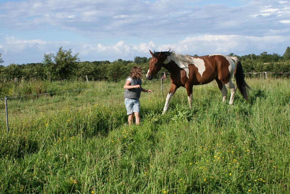 Pinto Check Me Out - Check Me Out billede 17