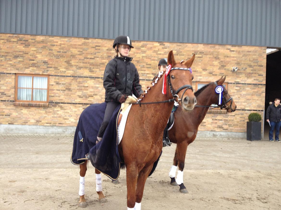 DSP Eldarion Telcontar TT (Dario) - Super smukt. De 2 drenge kørte bare med klatten. billede 6