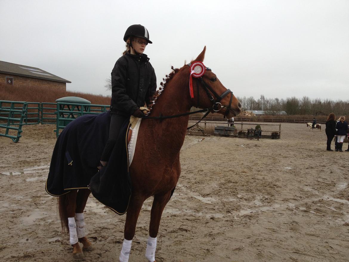 DSP Eldarion Telcontar TT (Dario) - Dario og mig. Han er da SMUK ;-) billede 7