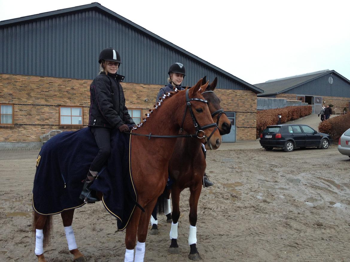 DSP Eldarion Telcontar TT (Dario) - Så er Dario og Rolle varmet op og klar til at føre sig frem billede 5