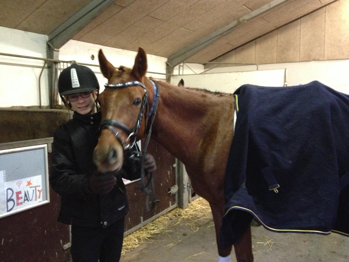 DSP Eldarion Telcontar TT (Dario) - Så er vi blevet pyntet til vores første stævne billede 2