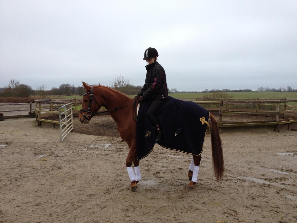 DSP Eldarion Telcontar TT (Dario) - Dario og mig billede 3