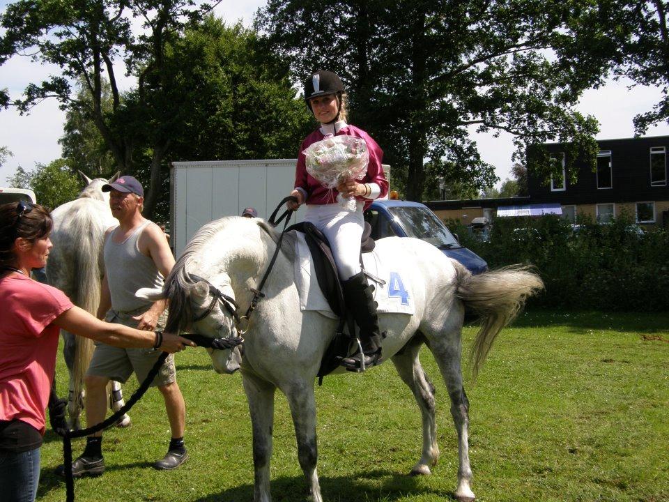 Anden særlig race Cæsar - Vinder af gallopløb 2012 i Asaa billede 4