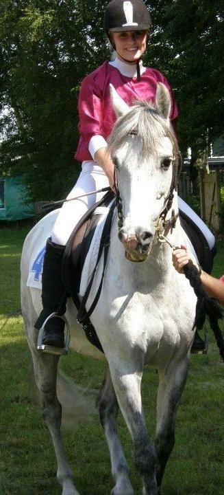 Anden særlig race Cæsar - Gallopløb i Asaa 2012 billede 5