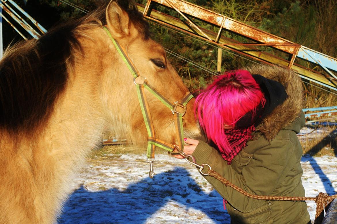 Anden særlig race Sexy Lover - d.20/01-13
Et kys til min basse <3 billede 13
