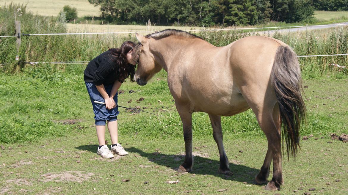 Anden særlig race Tulle billede 3