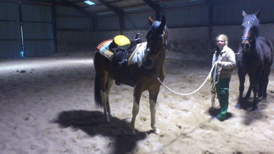 Pinto Check Me Out - første gang han bare prøver og ha sadle på billede 19