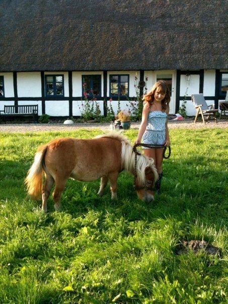 Anden særlig race Fila af Brobygaard billede 10