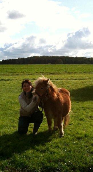 Anden særlig race Fila af Brobygaard billede 11