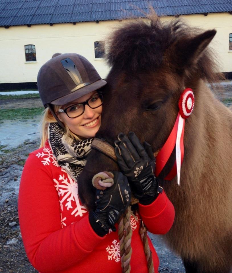 Islænder Hraunbúa fra Skarholt - Vores fine førsteplads til Risnalunds julestævne 2012. 6 for både trav og skridt :) 4.5 for tölt. (3-gang) billede 11