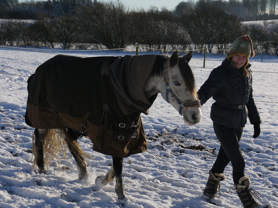 Anden særlig race Armani - B-pony - Simply the best  ♥ billede 20