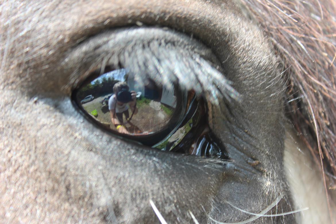 Tinker *Sofus* - Fordi et billede siger mere end 1000 ord..  billede 19