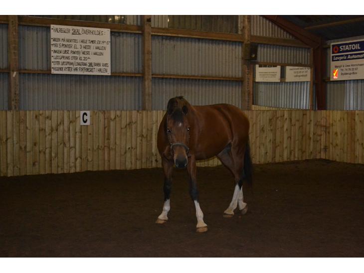 {{currentPhoto.altText}} billede {{currentPhoto.number}}