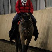 Holstener Olina (tidl. Hest)