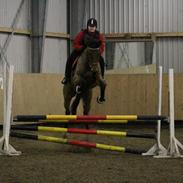 Holstener Olina (tidl. Hest)