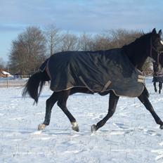 Oldenborg Miluna Af Brorstrup