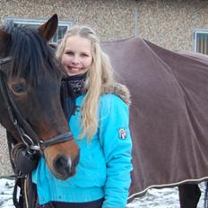 Svensk Sportspony  Barbie girl