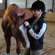 Hannoveraner Red Baron Derry