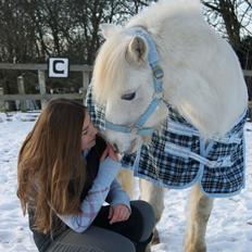 Anden særlig race George (Geomanse)