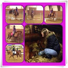 Anden særlig race Ratata <3