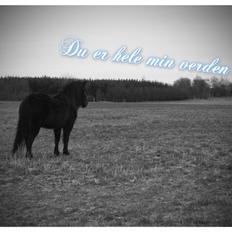Anden særlig race Wesselhoff´s Nala <3 Solgt og savnet <3