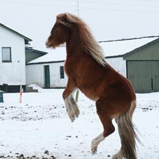 Anden særlig race -Adisa- [My Soulmate]