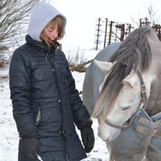 Arabisk fuldblod (OX) Fahrouk (Min bedste ven)