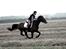Anden særlig race | Bob - |FOTO: MSP FOTO|