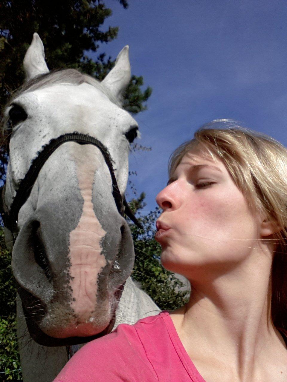 Engelsk Varmblod Copine billede 3